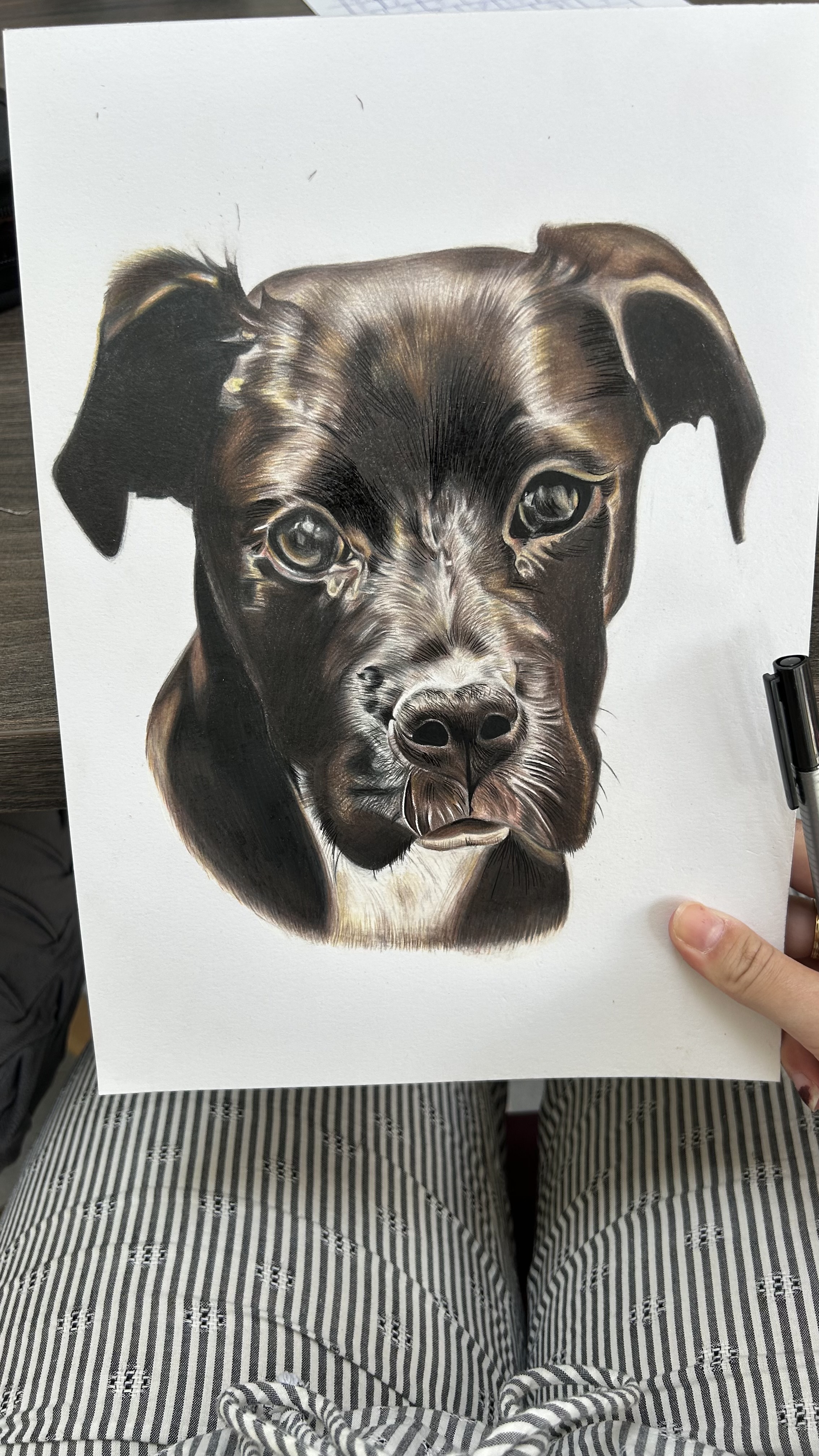 Custom Pet Portrait