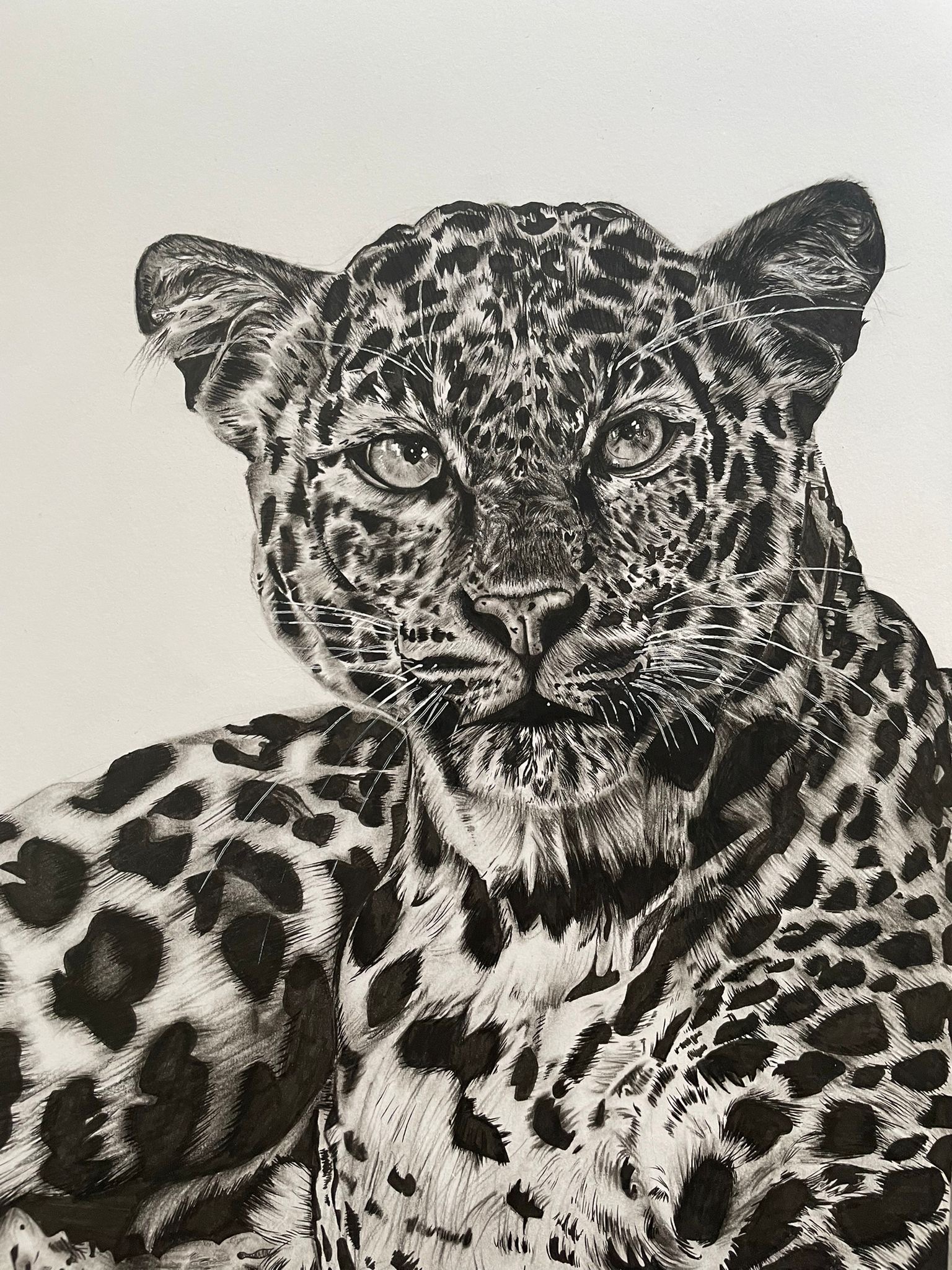 Charcoal Leopard Drawing Print